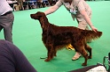 Crufts2011 608